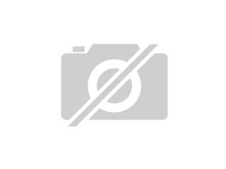 Zwergkaninchen gesucht